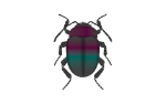 BugShort_Purple.png
