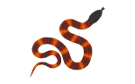 Snake_Orange.png