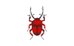 BugStrong_Red.png