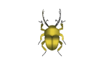 BugStrong_Yellow.png