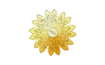 Flower_Yellow.png