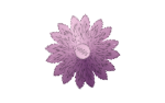 Flower_Purple.png